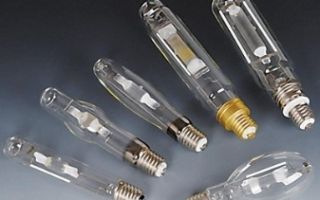 Avantages et inconvénients des lampes halogènes pour la maison