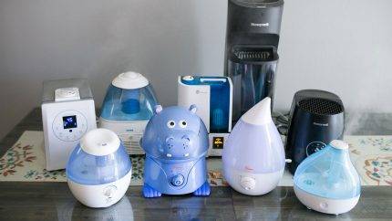 Les inconvénients et les avantages d'un humidificateur : les avantages et les inconvénients de l'utilisation d'appareils dans un appartement