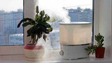 Que vaut-il mieux choisir - un purificateur d'air ou un humidificateur? Comparaison détaillée des appareils