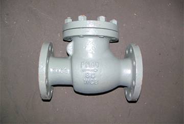 Clapet anti-retour d'eau pour pompe