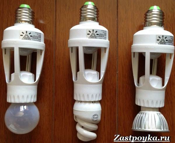 Lampes avec détecteur de mouvement : comment elles fonctionnent, comment se connecter + TOP des meilleurs fabricants