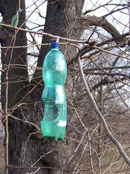 Idées pour utiliser des bouteilles en plastique : tous les déchets en action