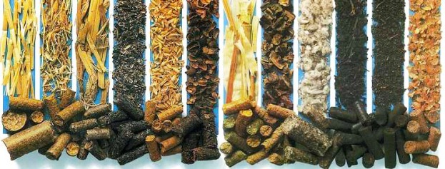 Vue d'ensemble des chaudières à carburant diesel populaires