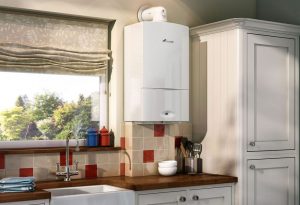 Aspirateurs Bissell: les dix meilleurs modèles + recommandations utiles pour choisir