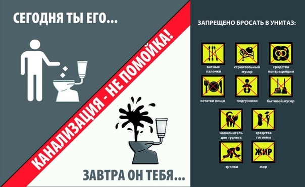 Pourquoi il ne faut pas jeter du papier toilette dans les toilettes