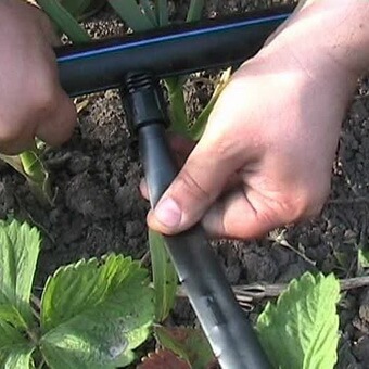 Comment faire un système d'irrigation goutte à goutte pour les arbres?