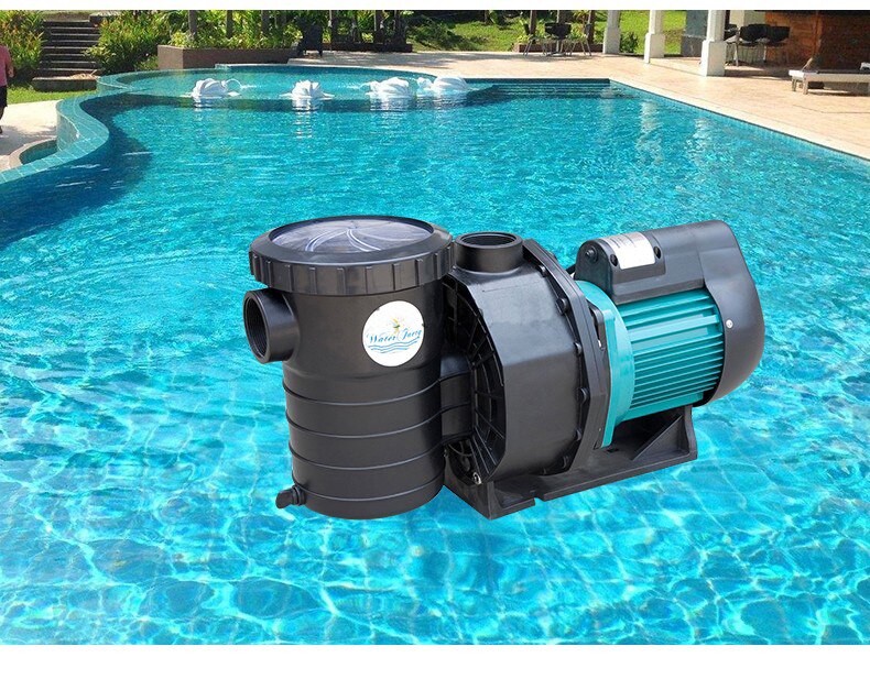Comment choisir un aspirateur de piscine : les 10 meilleurs modèles + ce qu'il faut rechercher avant d'acheter