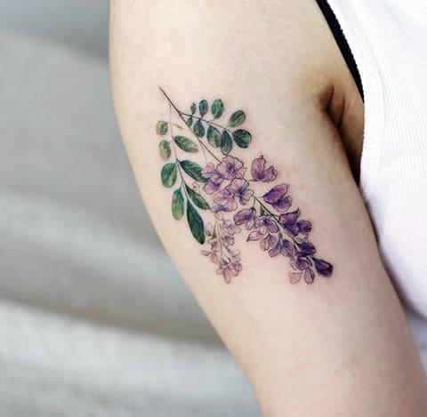 Pourquoi vous ne pouvez pas garder les roseaux à la maison : signes et bon sens