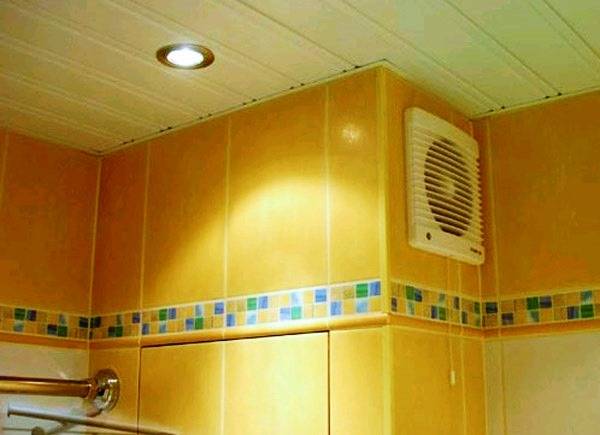 Hotte aspirante dans la salle de bain: règles de sélection et caractéristiques d'installation