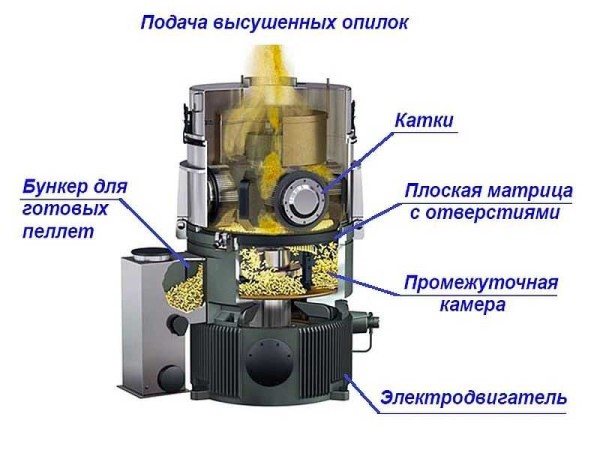 Tout savoir sur les pellets : règles de production, normes et méthodes de contrôle qualité