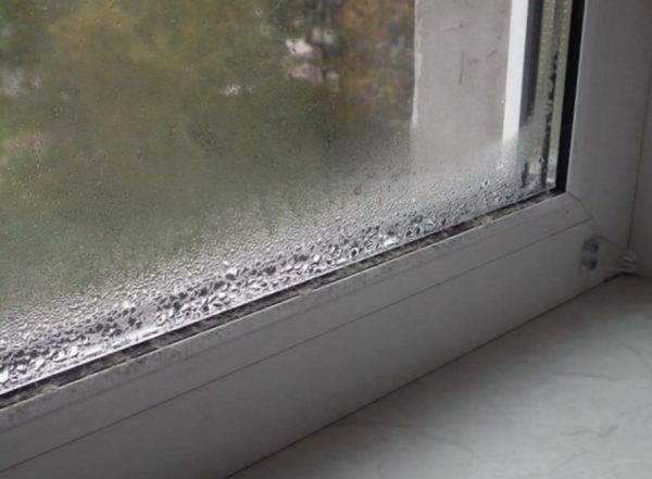 Qu'est-ce que la moisissure noire dangereuse dans la maison pour le corps humain et comment s'en débarrasser