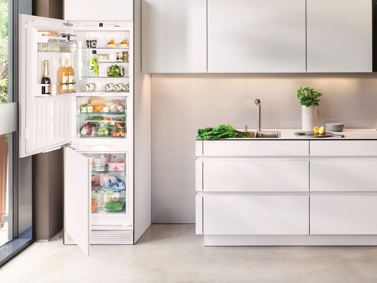 Classement des réfrigérateurs encastrables - Top 15 des meilleurs modèles de 2018-2019 avec de brèves caractéristiques et les prix actuels