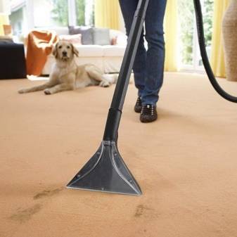 Examen de l'aspirateur de lavage Tomas Twin Panther: un break de la série économique