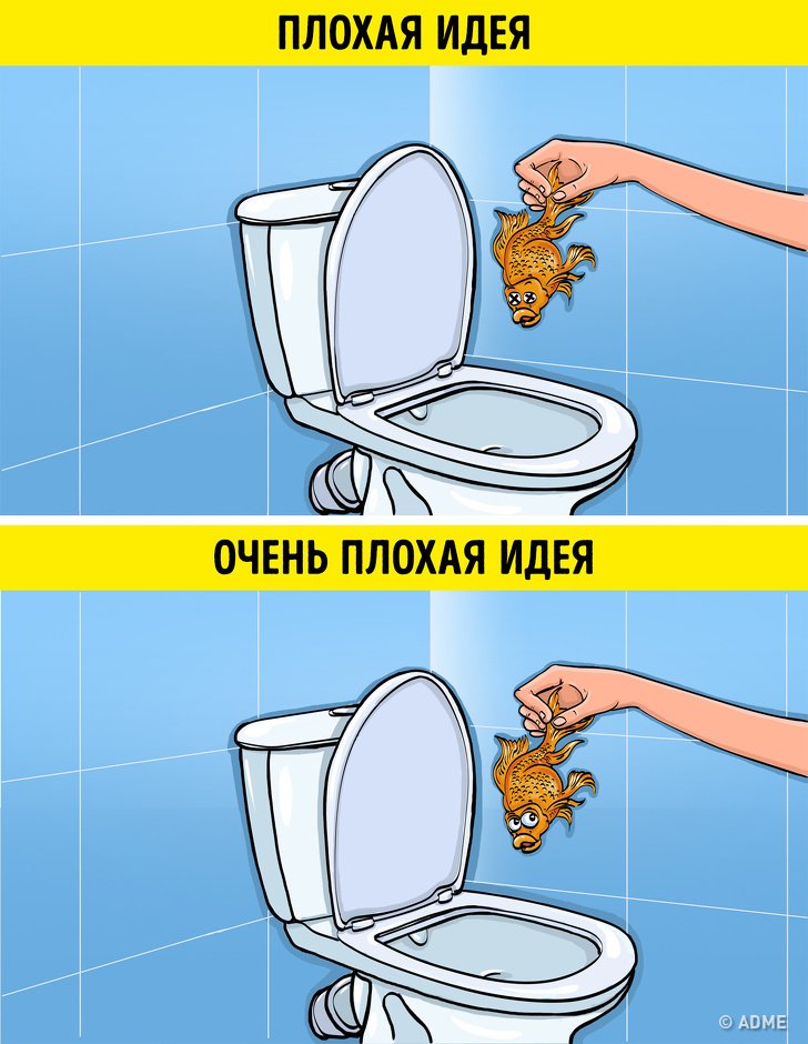 Pourquoi vous ne pouvez pas garder les roseaux à la maison : signes et bon sens