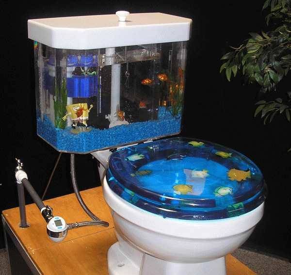 Types de cuvettes de toilettes par caractéristiques techniques et design