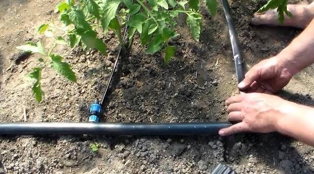 Quel tuyau d'irrigation est préférable de choisir: types populaires + ce qu'il faut rechercher lors du choix