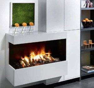 Foyers électriques à effet feu vif