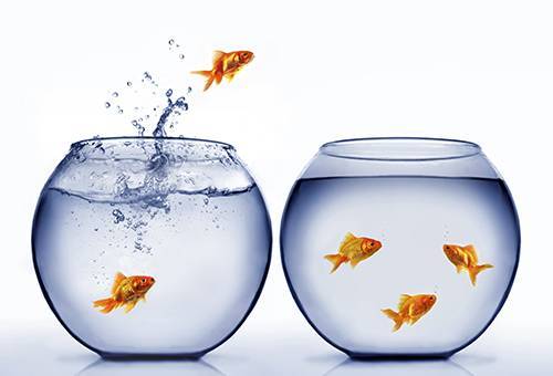 15 façons délicates d'utiliser la blancheur que vous ne connaissiez pas