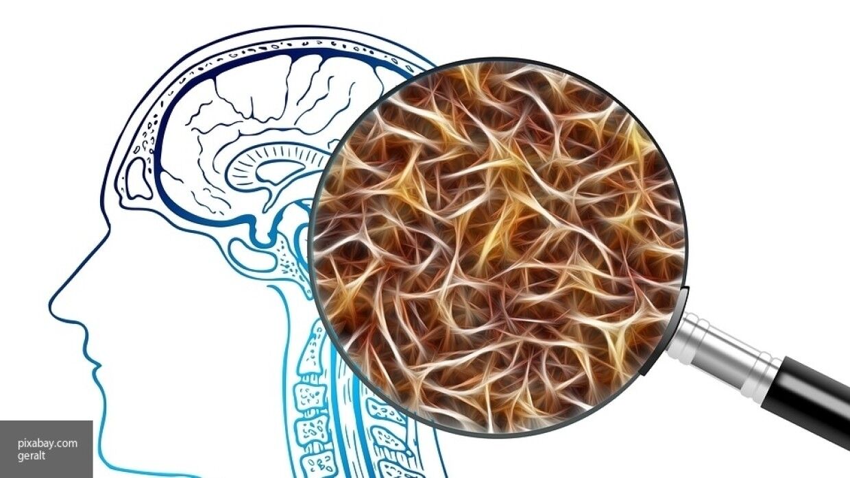 Vieillissement et maladies liées à l'âge