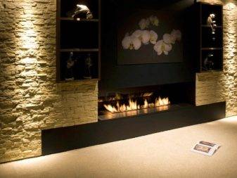 Cheminées au biocarburant: dispositif, types et principe de fonctionnement des biocheminées