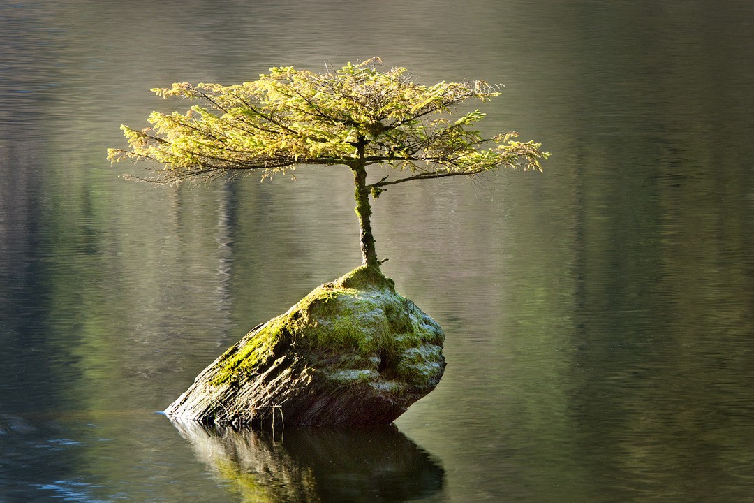 C'est difficile à croire, mais ces 30 photos ont été prises sans photoshop
