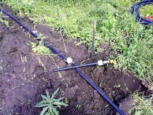 Tuyaux en plastique pour l'irrigation dans le pays : quels sont les meilleurs à utiliser ?