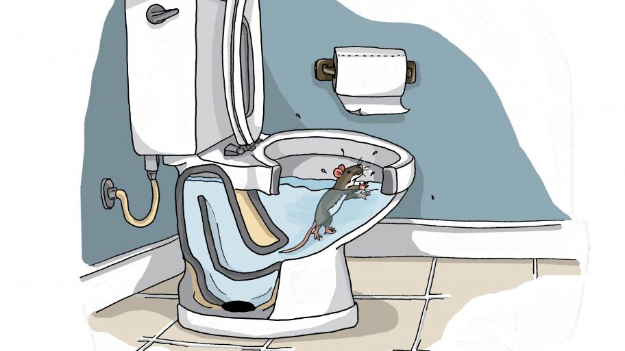 Signes associés à la salle de bain de la maison.