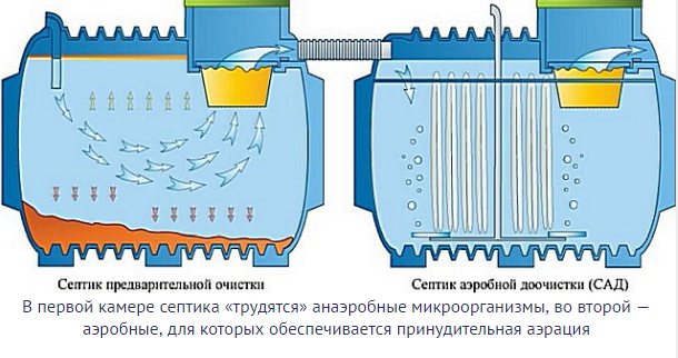 Bactéries pour fosses septiques anaérobies : anaérobies, mésophiles