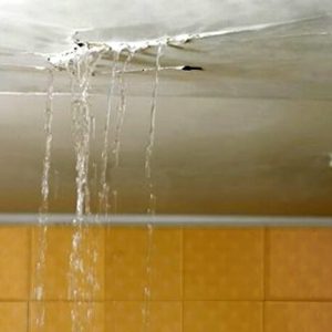 Voisins inondés d'en haut: que faire et où aller