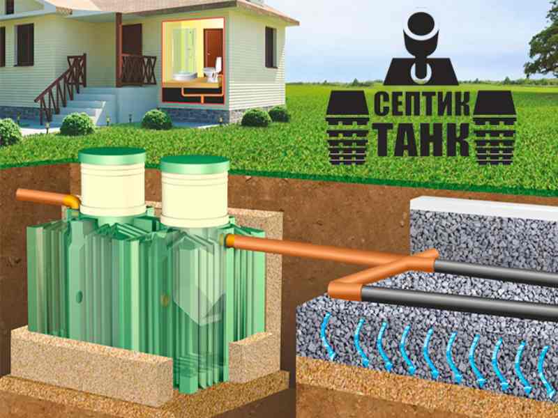 Fosse septique "cèdre": vue d'ensemble, appareil, avantages et inconvénients, avis