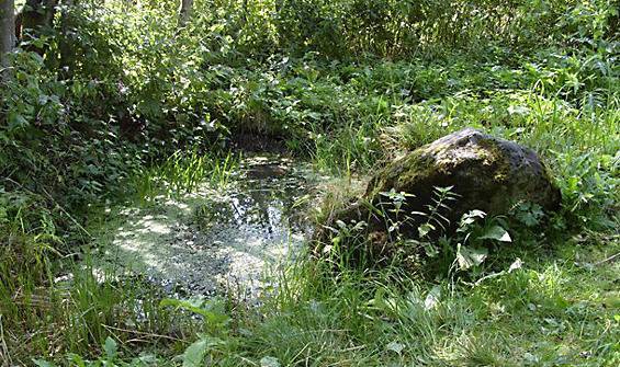 Puits abyssin à faire soi-même: tout sur le dispositif indépendant d'un puits à aiguilles