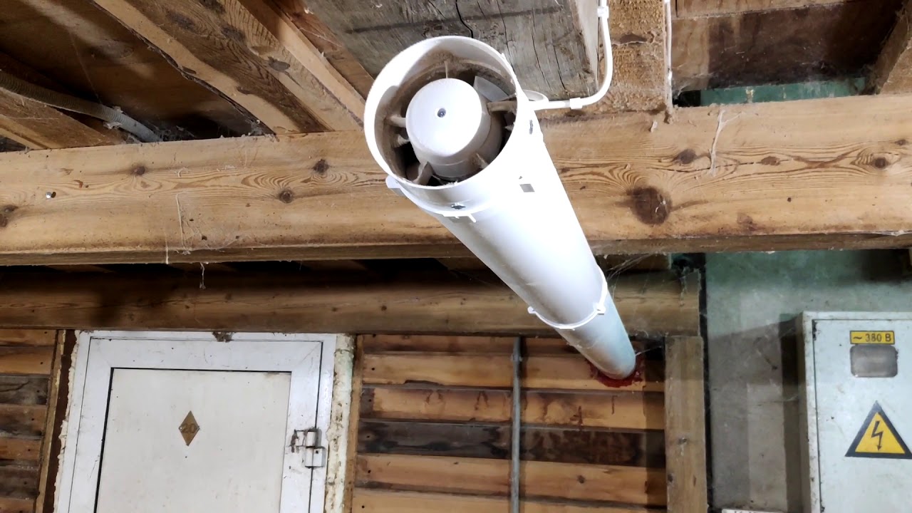 Hotte dans le poulailler