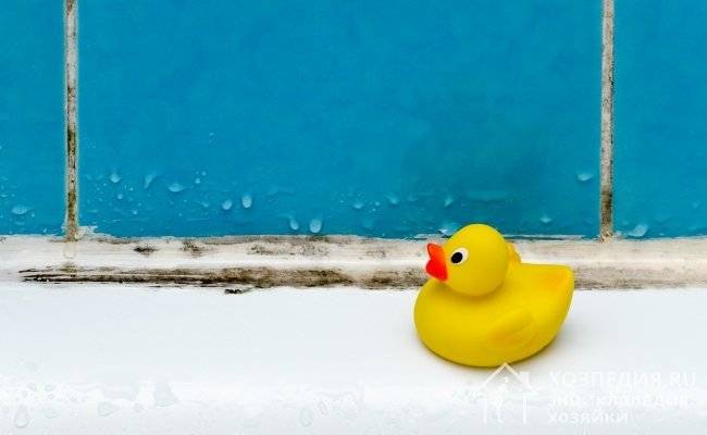 Pourquoi le réservoir des toilettes transpire-t-il et comment éliminer la condensation ?