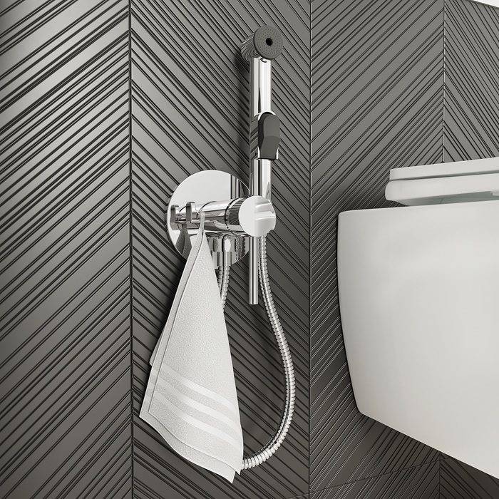 Règles pour choisir un arrosoir pour une douche hygiénique: types de conceptions et leurs caractéristiques