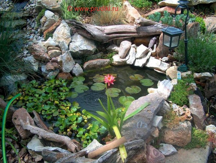 Beauté et bienfaits : comment utiliser un vieux bain à la campagne