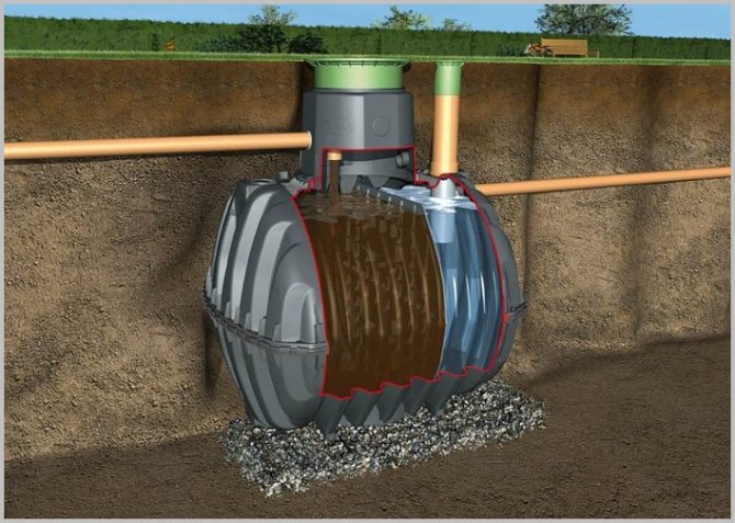 Quel est le meilleur remède contre les fosses d'aisance : un aperçu des bactéries vivantes, des antiseptiques et de la chimie