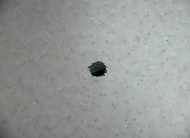 Double vasque dans la salle de bain: un aperçu des solutions populaires et des nuances d'installation