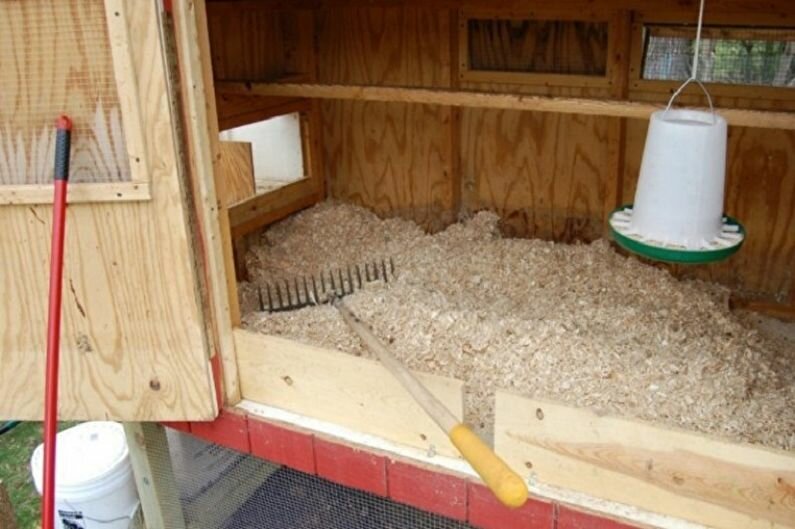 Comment isoler un poulailler: pour l'hiver de vos propres mains, isolation du sol du toit et du plafond