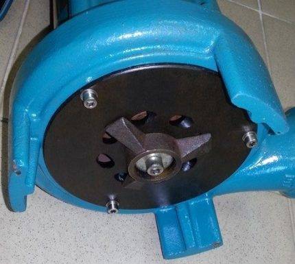 Comment choisir la bonne pompe fécale pour une résidence d'été et un appartement : comment ça marche et que rechercher ?