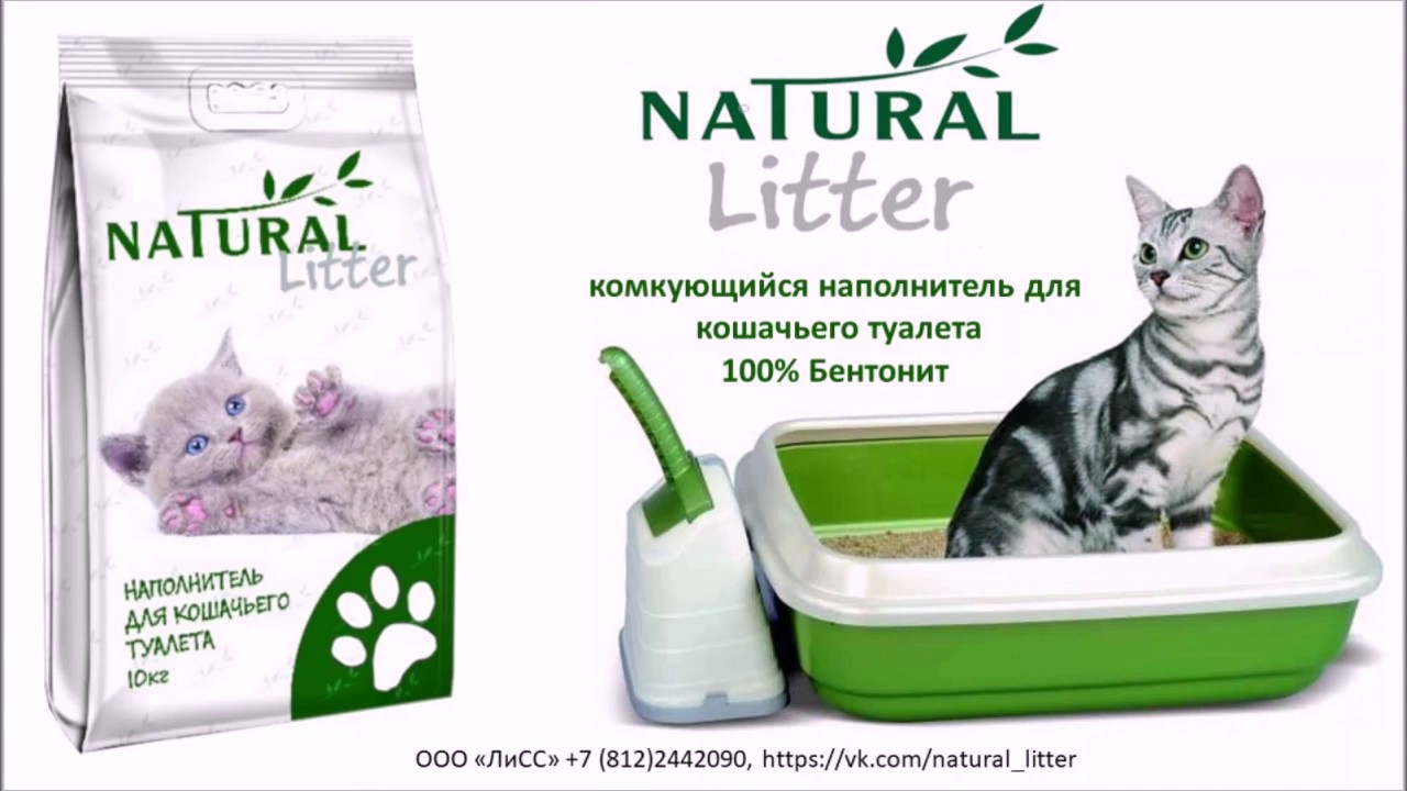 Toilettes en tourbe pour une résidence d'été: principe de fonctionnement et avantages (20 photos)