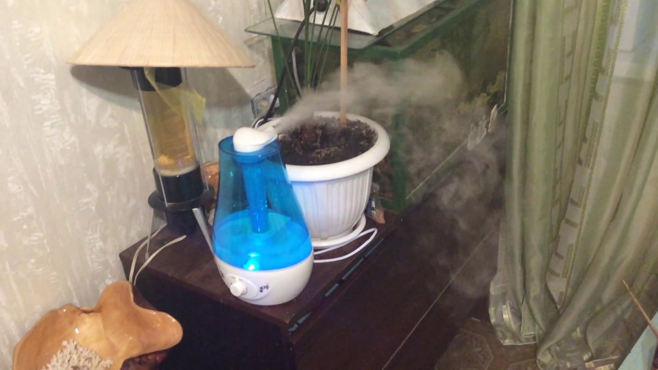Comment humidifier l'air sans humidificateur dans une chambre, un appartement
