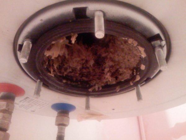 Remplacement d'un élément chauffant dans un chauffe-eau Termex: caractéristiques du démontage de l'appareil et vérification des dysfonctionnements