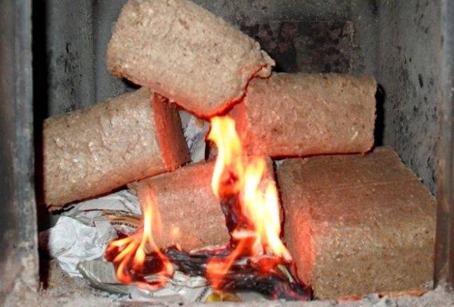 Bois de chauffage ou briquettes - nous analysons les avantages et les inconvénients. presse!