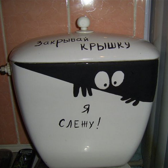 Pourquoi vous ne pouvez pas garder les roseaux à la maison : signes et croyances