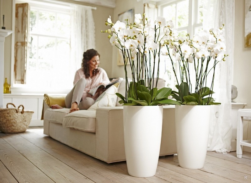 Est-il possible de garder des fleurs artificielles à la maison