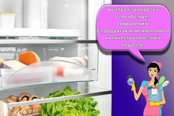 Réfrigérateurs "Atlant": avis, avantages et inconvénients + examen des meilleurs modèles