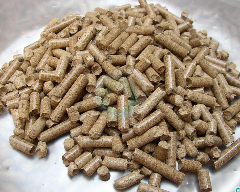 Pellets - qu'est-ce que c'est? équipements pour la production de combustible et de granulés de bois pour chaudières et pas seulement