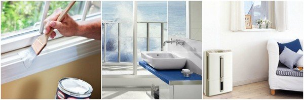 Qu'est-ce que la moisissure noire dangereuse dans la maison pour le corps humain et comment s'en débarrasser