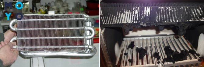 Comment nettoyer un chauffe-eau à gaz bosch de vos propres mains: guide d'entretien + conseils précieux