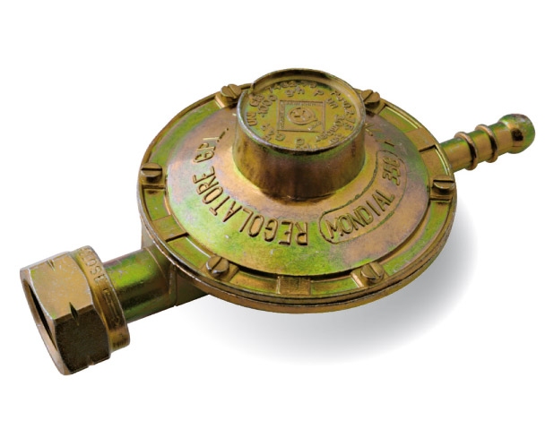 Réducteur de gaz avec régulateur de pression propane